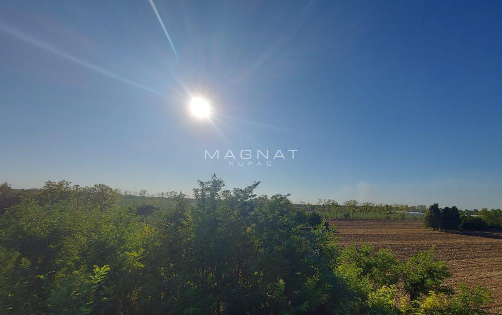 Zemun-Plac sa panoramskim pogledom na Dunav ID#5282