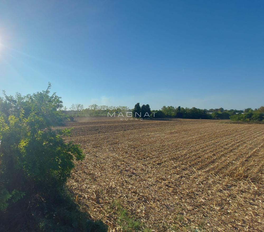 Zemun-Plac sa panoramskim pogledom na Dunav ID#5282