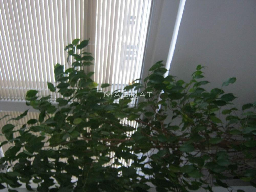 Voždovačka crkva -  Mirna ulica - Nov ID#5452