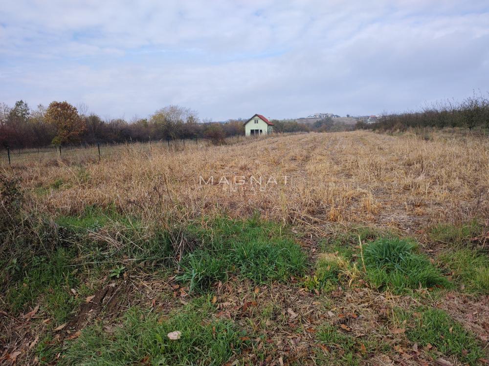 Kosmaj - građevinski plac - Rogača ID#5365